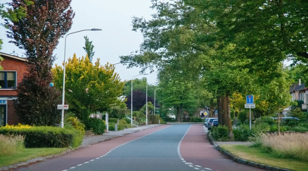 Street trees repeated along a residential block to support neighborhood drainage and local stormwater control