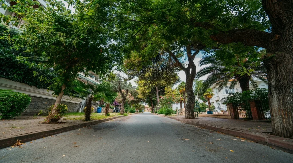 Evening cooling reduced by heat-retaining street surfaces in a dense neighborhood
