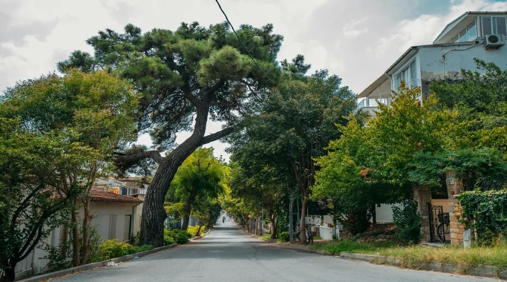 Evening cooling improved by tree cover and better airflow in a residential neighborhood