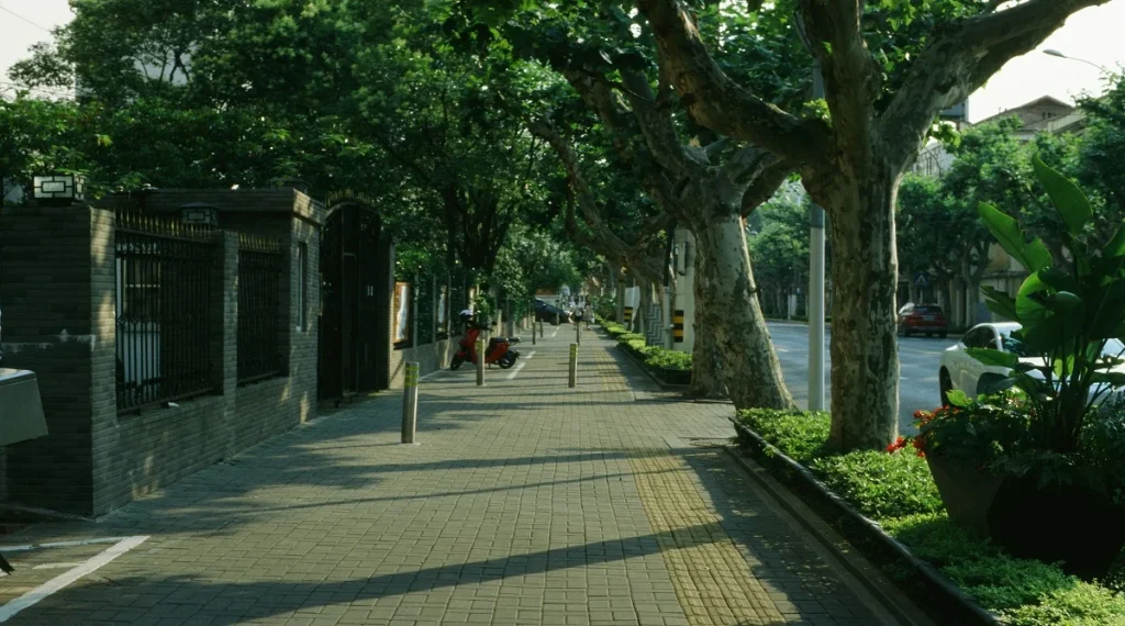 Pavement stays hot longer on a sunlit sidewalk with little neighborhood shade