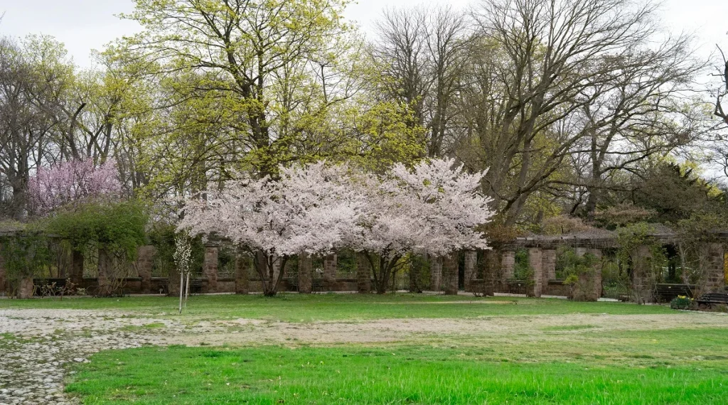 Warm spring starts changing neighborhood landscapes with earlier greenery and seasonal growth
