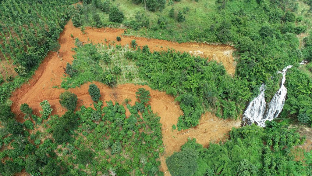 Healthy forests protecting soil and reducing erosion on a wet hillside