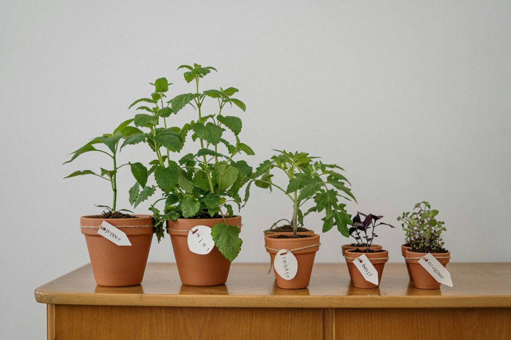 Improving soil health by adding compost and protective organic material to a garden bed