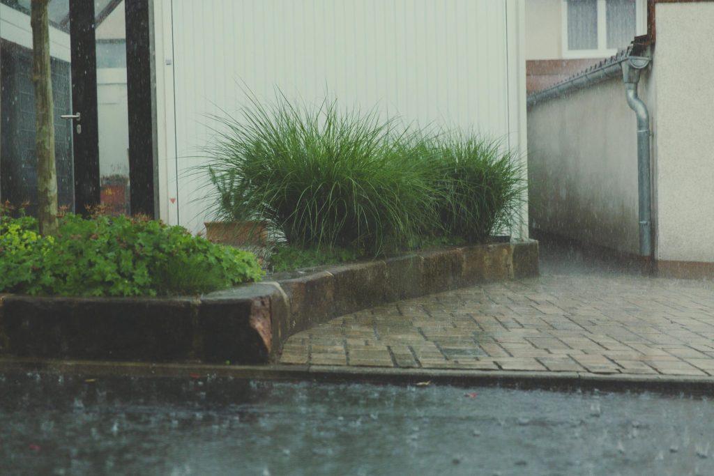 Rain gardens designed to improve neighborhood drainage and reduce stormwater runoff