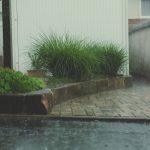 Rain gardens designed to improve neighborhood drainage and reduce stormwater runoff