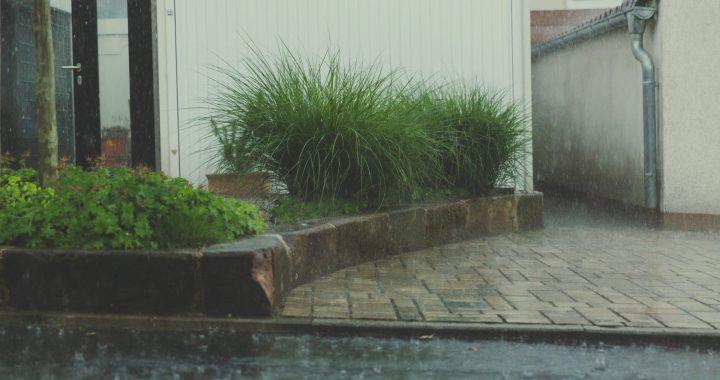 Rain gardens designed to improve neighborhood drainage and reduce stormwater runoff