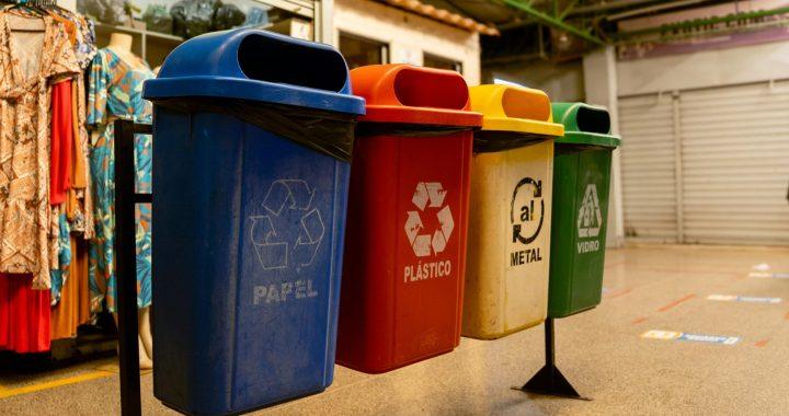 Recycling contamination article illustrated by separated household recycling bins