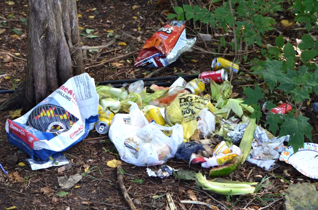 Why food waste matters when household food waste ends up in trash instead of being managed better