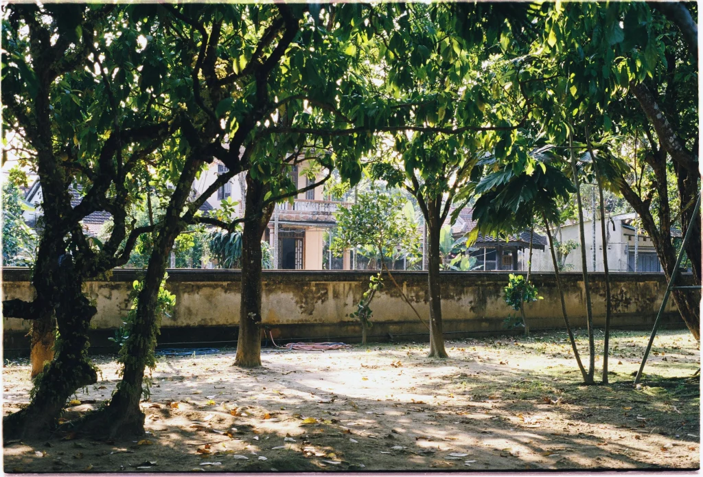 Yard shade helping soil hold moisture longer in a tree-covered garden during hot weather