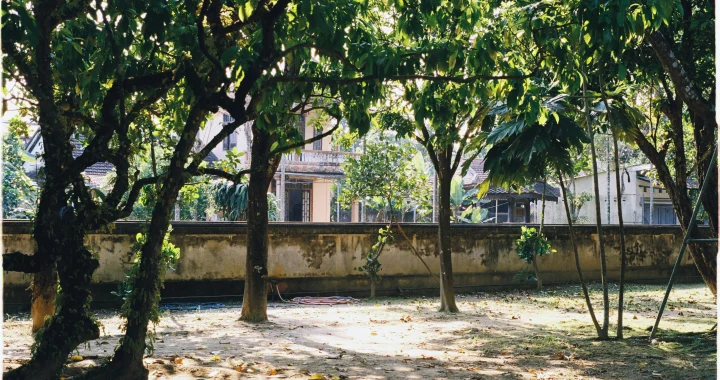 Yard shade helping soil hold moisture longer in a tree-covered garden during hot weather