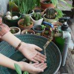 Water conservation begins with mindful household tap use during hot and dry seasons