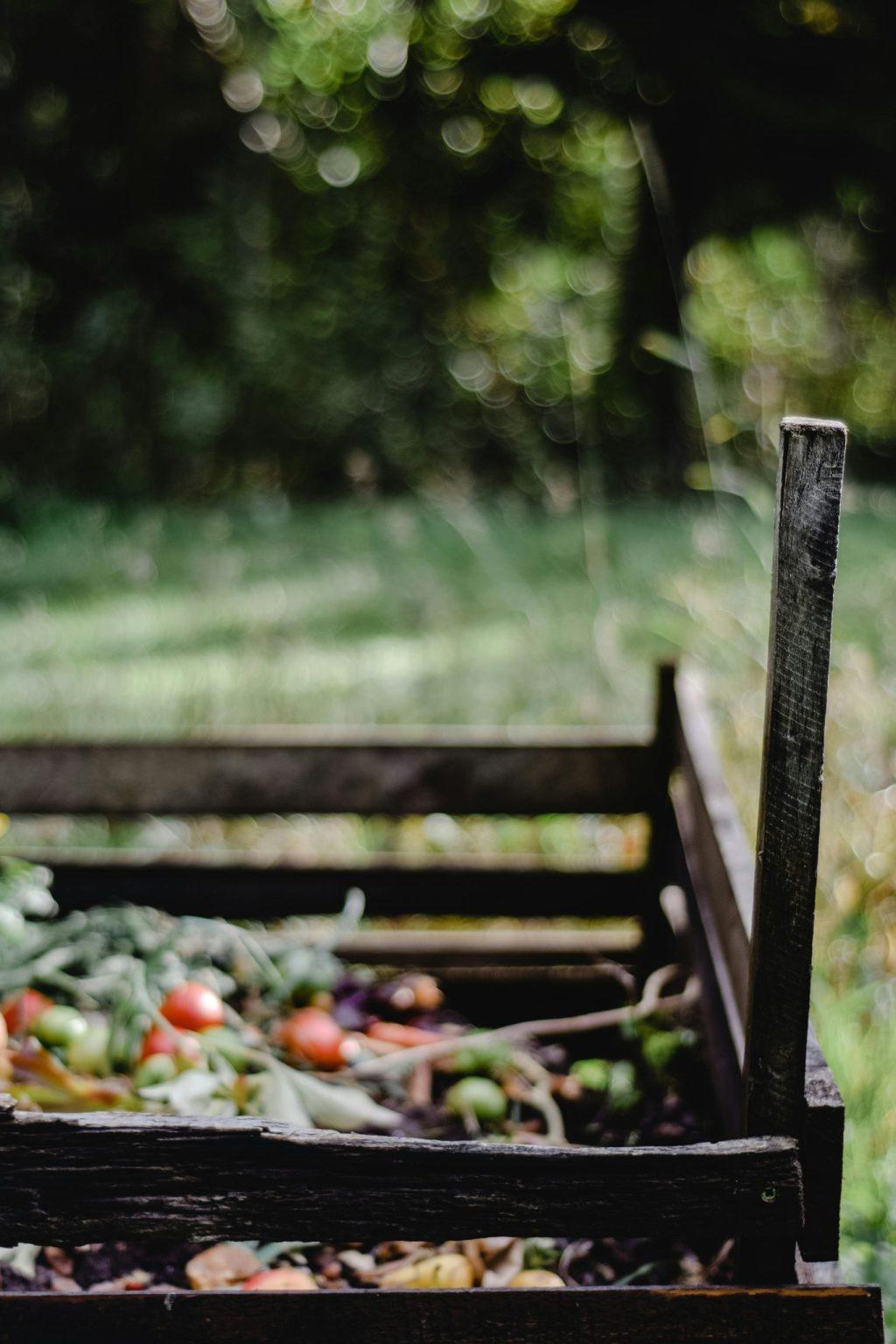 Start composting at home with a simple backyard compost bin