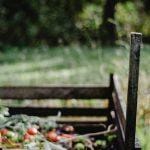 Start composting at home with a simple backyard compost bin