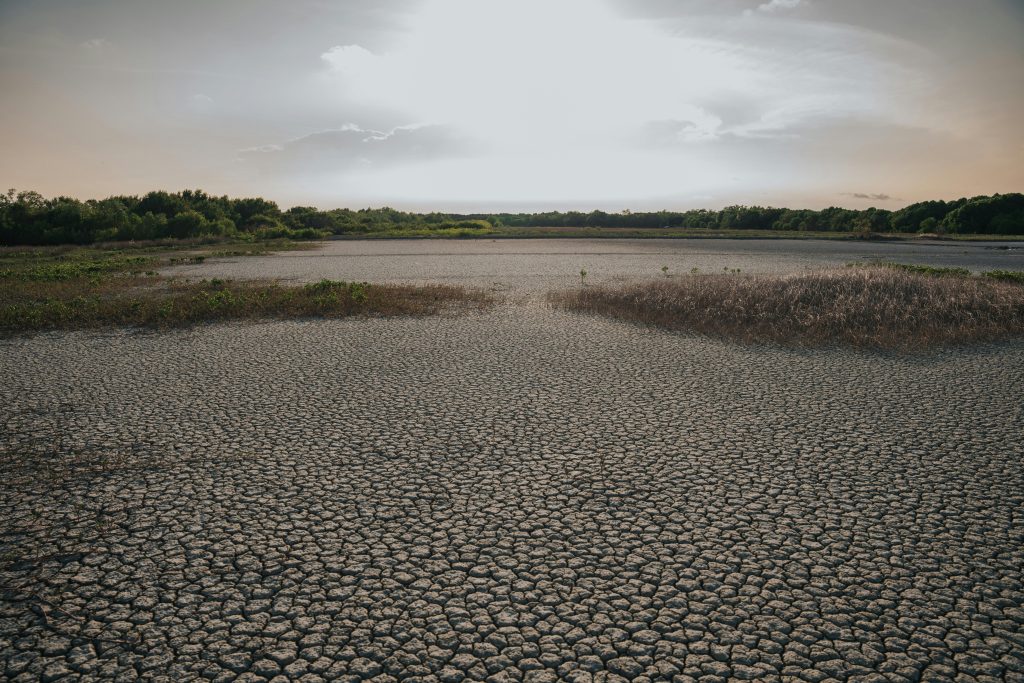 Water conservation matters when dry ground and heat put pressure on local water supply