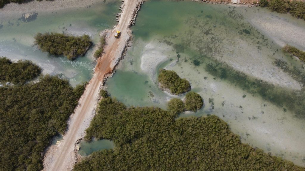 Mangrove forests as part of a wider shoreline ecosystem and coastal protection zone
