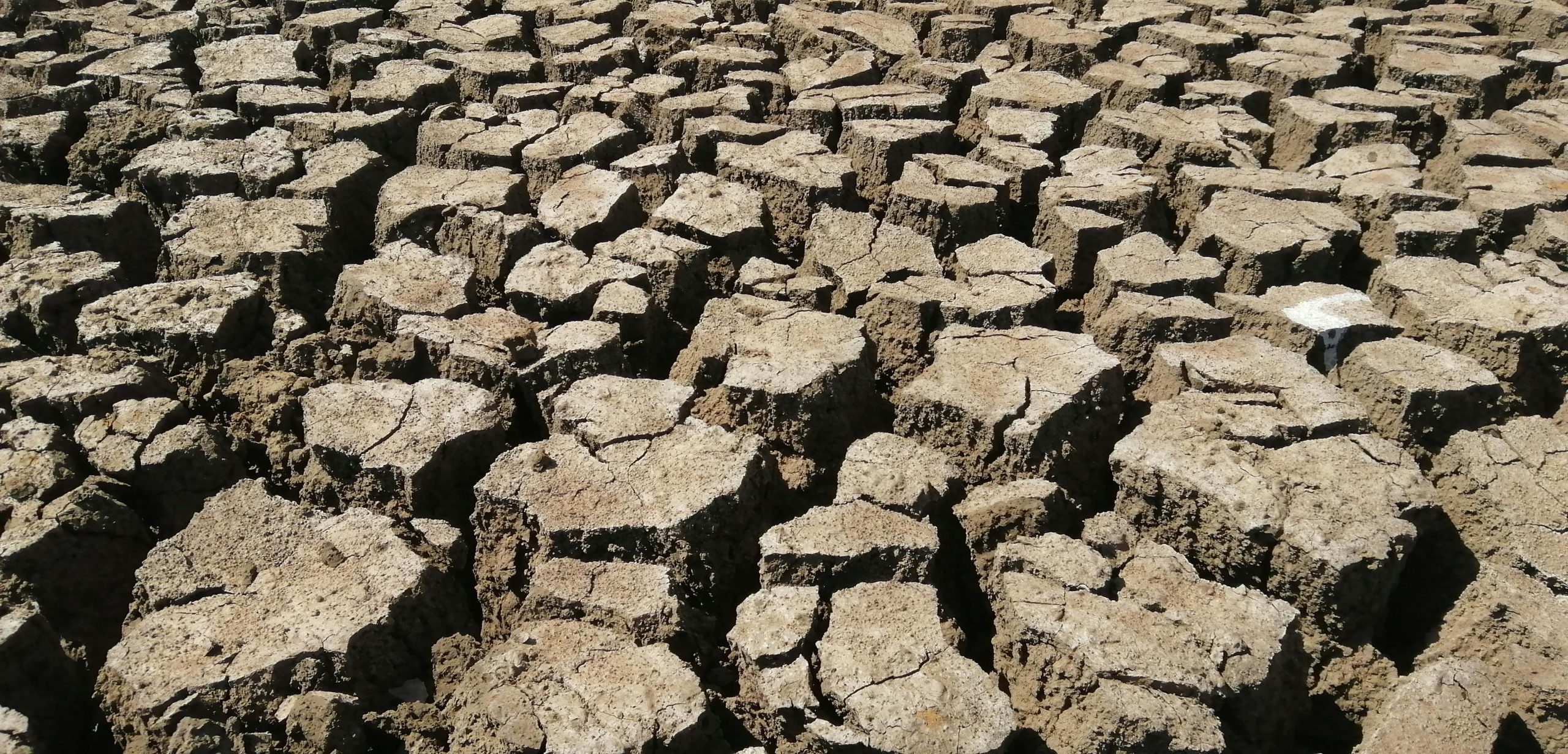 Why Drought Conditions Affect More Than Water Supply Alone