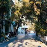 Sidewalk tree shade improving summer walking comfort along a sunny city street