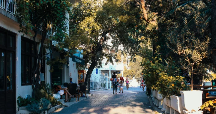Sidewalk tree shade improving summer walking comfort along a sunny city street