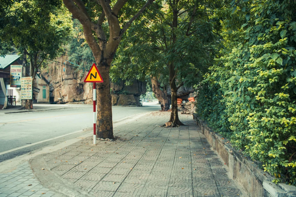 Sidewalk tree shade reducing street-level heat on a summer walking route in the city