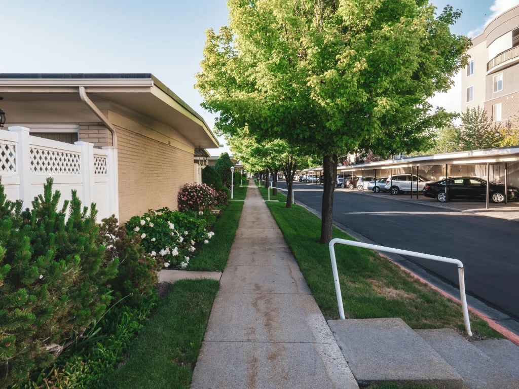 Sidewalk tree shade supporting easier summer walking on a shaded neighborhood pedestrian route
