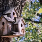 Dead wood in the garden helping create shelter and habitat for backyard wildlife