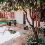 Small patch of shade over pavement helping reduce summer heat around a home