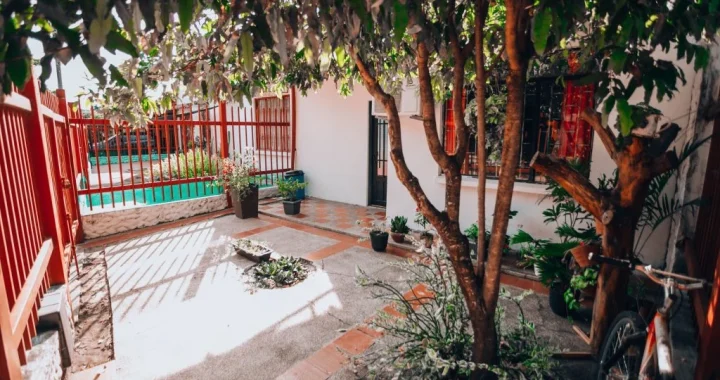 Small patch of shade over pavement helping reduce summer heat around a home