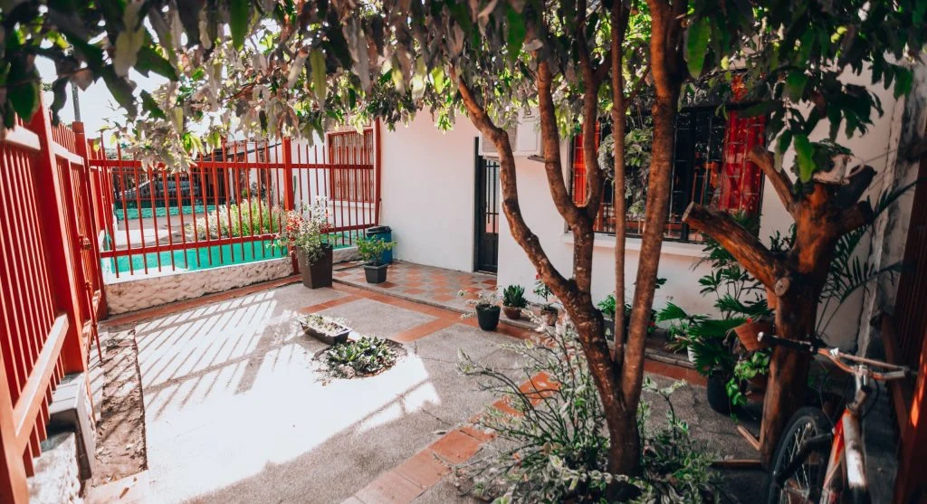 Small patch of shade over pavement helping reduce summer heat around a home