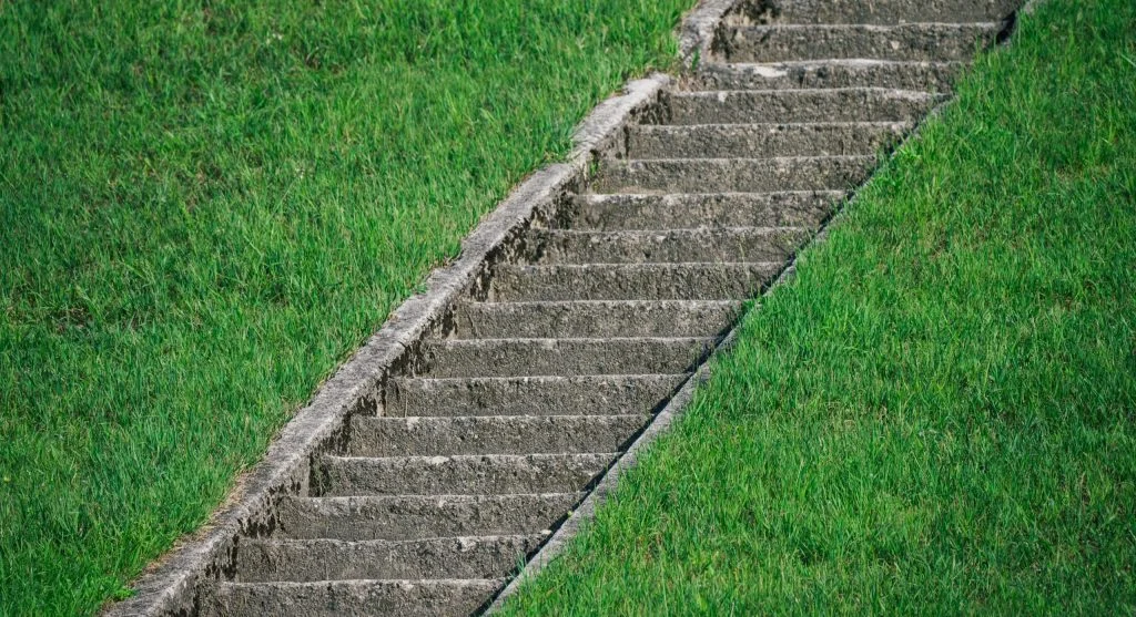 Grass beside concrete showing why one surface can feel cooler than the other in summer