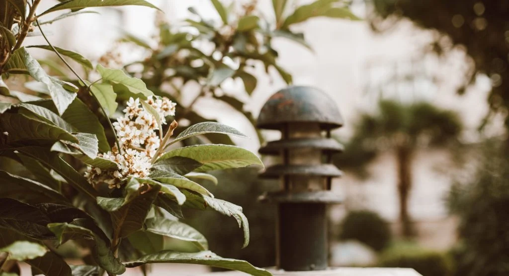 Outdoor lighting near a garden that can disrupt the behavior of night insects