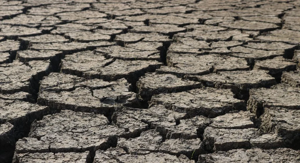 Concrete surface storing summer heat and feeling hotter than nearby natural ground